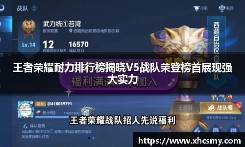王者荣耀耐力排行榜揭晓V5战队荣登榜首展现强大实力