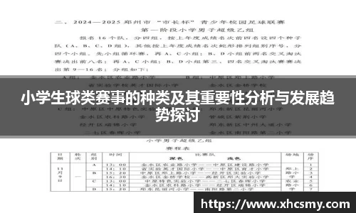 小学生球类赛事的种类及其重要性分析与发展趋势探讨