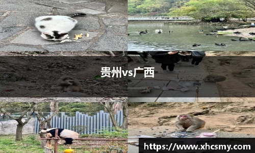贵州vs广西