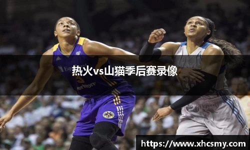 热火vs山猫季后赛录像