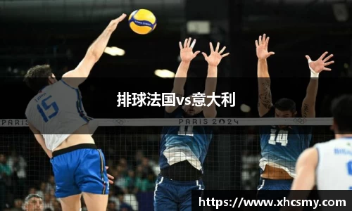 排球法国vs意大利