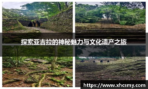 乐球体育直播在线观看